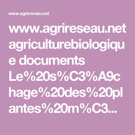 La Révolte des Plantes Sauvages : Un Soulèvement Agricole en Amazonie Précolombienne contre l'Expansion Impériale Tupinambá